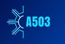 CLASSROOM ACTIVITIES / HOẠT ĐỘNG TRONG LỚP