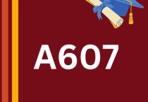 CLASSROOM ACTIVITIES / HOẠT ĐỘNG TRONG LỚP