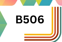 CLASSROOM ACTIVITIES / HOẠT ĐỘNG TRONG LỚP