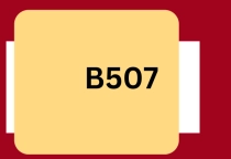 FURTHER PRACTICE / LUYỆN TẬP