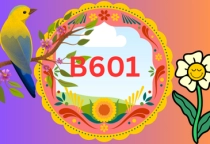 FURTHER PRACTICE / LUYỆN TẬP