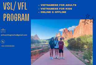 Vietnamese Teaching